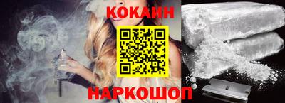мдпв Кингисепп