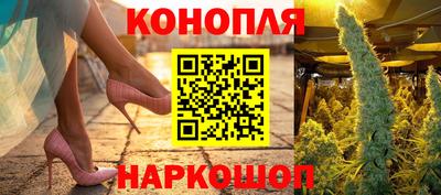 мдпв Кингисепп