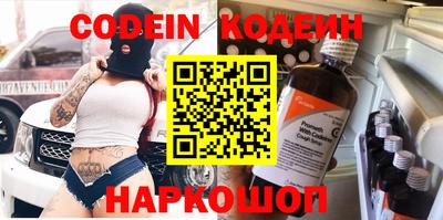 мдпв Кингисепп