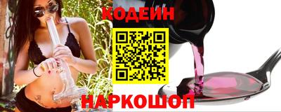 мдпв Кингисепп