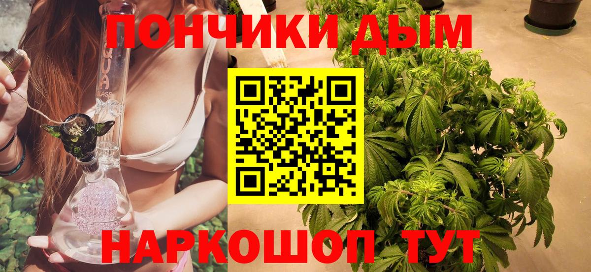 Бошки Шишки SATIVA & INDICA  Шишки марихуана THC 21%  Канабис тримм  Чистополь  Вход с VPN 